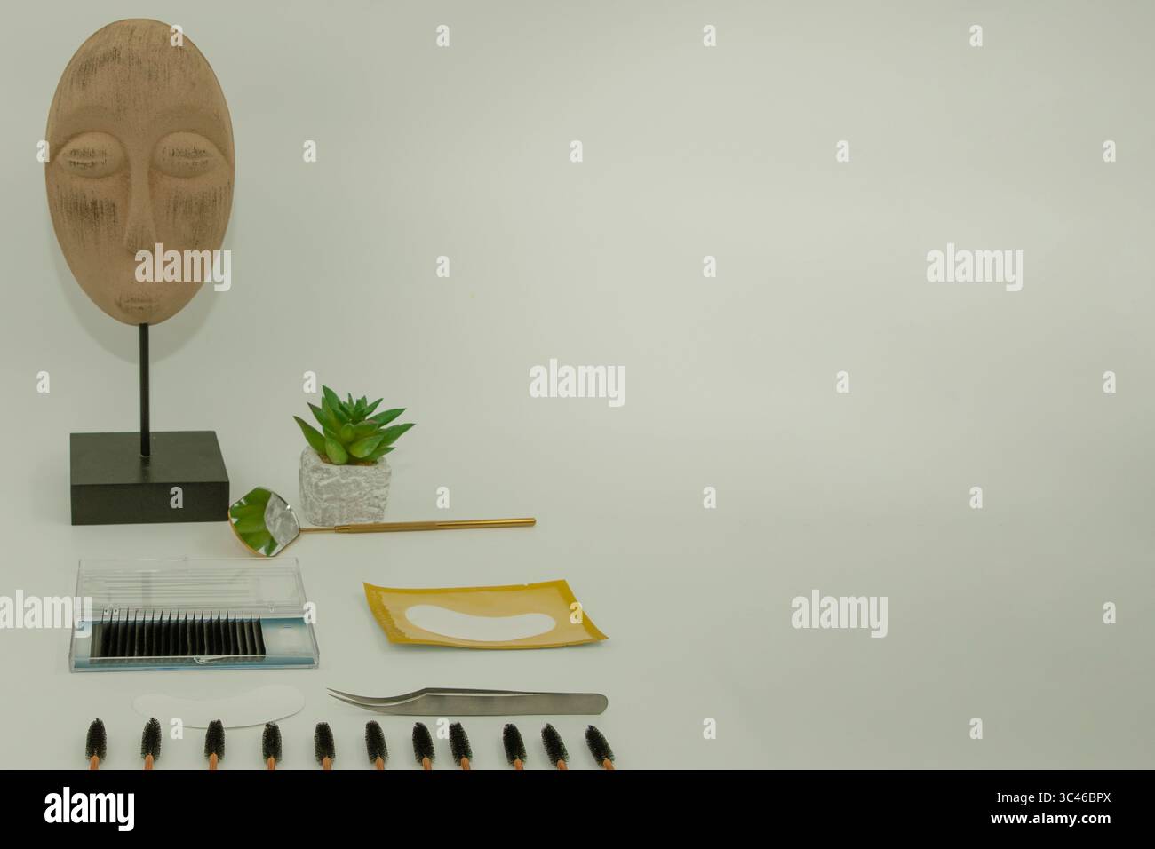 Professionelle Wimpernverlängerungswerkzeuge einschließlich Pinsel, Pinzette, Spiegel, Augenflecken und falsche Wimpern auf weißem Hintergrund mit dekorativem Kakteen. Stockfoto