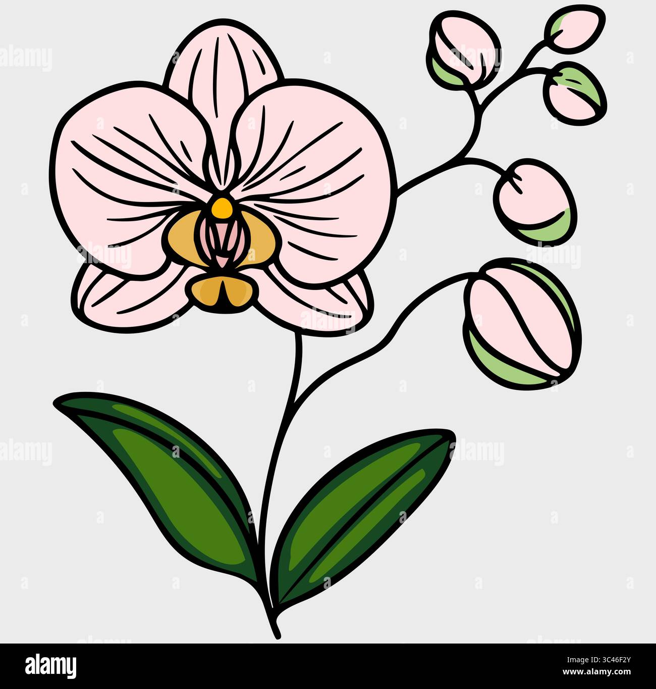 Eine stilisierte Vektor-Illustration einer rosa Orchideenblume mit grünen Blättern und Knospen, mit auffälligen Umrissen und einem einfachen Design. Stock Vektor