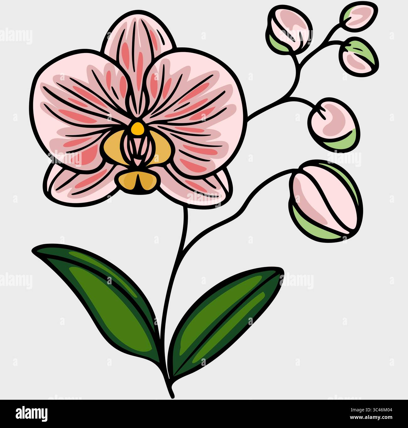 Eine stilisierte Vektor-Illustration einer rosa Orchideenblume mit grünen Blättern und Knospen, mit auffälligen Umrissen und einem einfachen, farbenfrohen Design. Stock Vektor