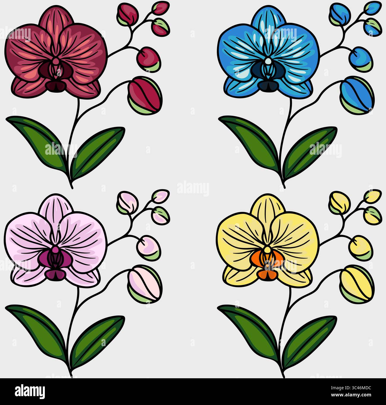 Eine bunte Vektor-Illustration von Orchideen in vier Variationen. Jede Blüte hat unterschiedliche Farben: Rot, blau, rosa und gelb, mit grünen Blättern und Stock Vektor