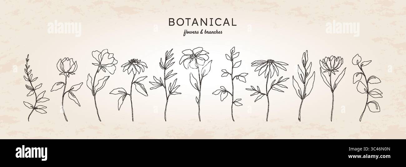 Blumen und Zweige auskleiden. Zeigen Sie botanische Blumenkunst, eine Hand gezeichnete Rosenpflanzen und Kräuter. Grafische Skizze mit durchgehendem Blumenstrauß. Dekorative isolierte Elemente Sommerflora. Illustration der Vektorkritzelei Stock Vektor