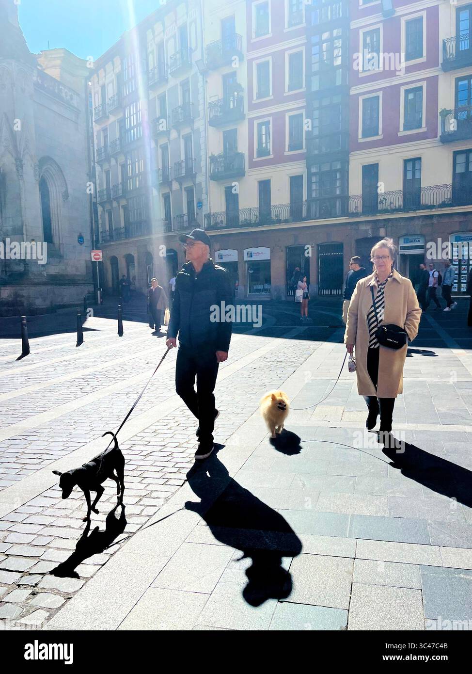 Ein paar Wanderhunde, Bilbao, Spanien Stockfoto
