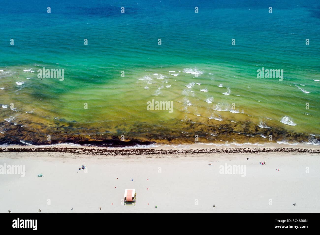 Miami Beach Florida, Ocean Terrace Beach, von oben aus die Luft schauend, Atlantikküste mit großer sichtbarer Ansammlung Sargassum nat Stockfoto