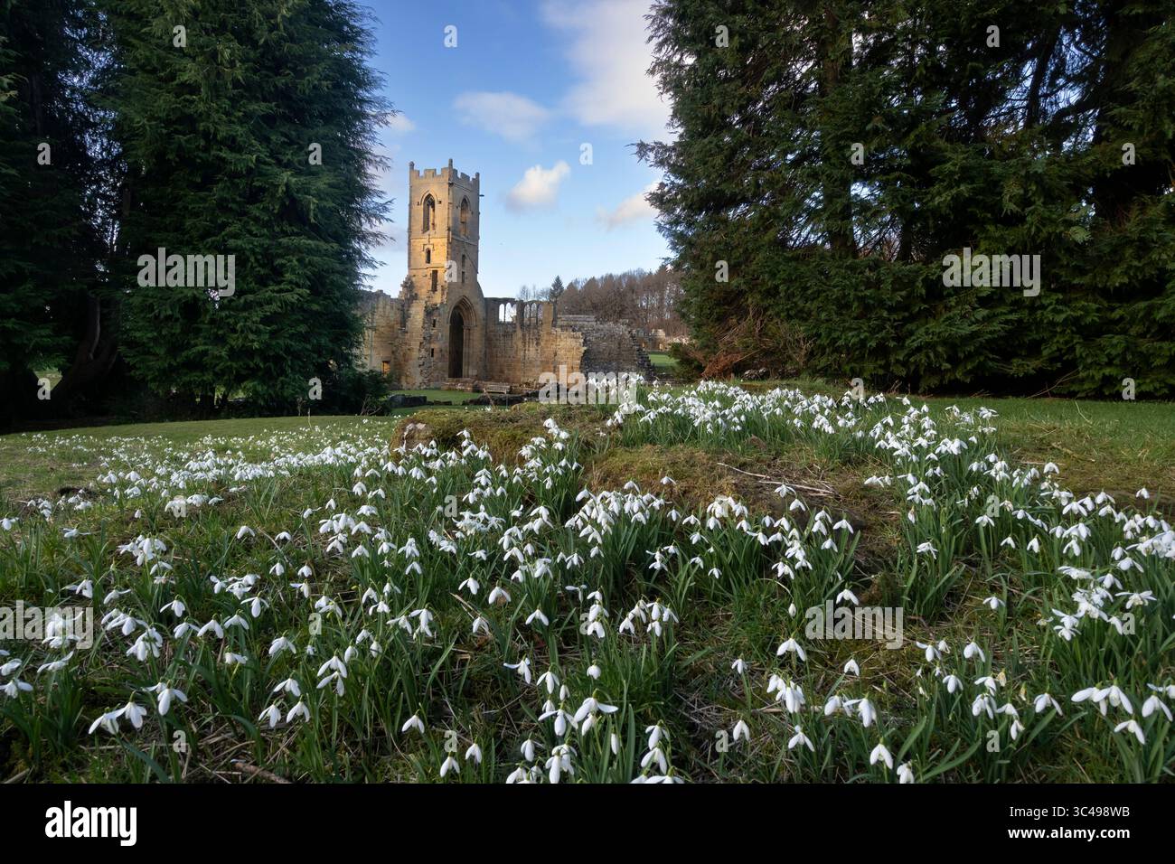 Mount Grace Priory, Kartäuserorden. Das Hotel liegt an der A19 in der Nähe von East Harsley, North Yorkshire Stockfoto