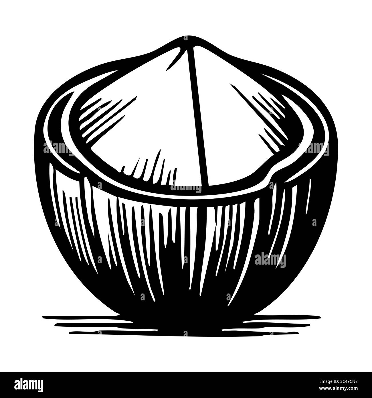 Eine Vektor-stilisierte Illustration einer Kokosnuss, die ihre äußere Schale mit einer glatten Oberfläche und einer spitzen Oberseite zeigt. Das Design zeichnet sich durch markante Linien und shadi aus Stock Vektor