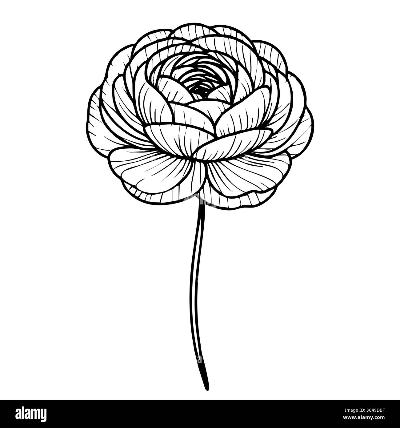 Eine vektordetaillierte Linienzeichnung einer Blume mit mehrschichtigen Blütenblättern und einem langen Stiel, die komplizierte Muster und Texturen zeigt. Stock Vektor