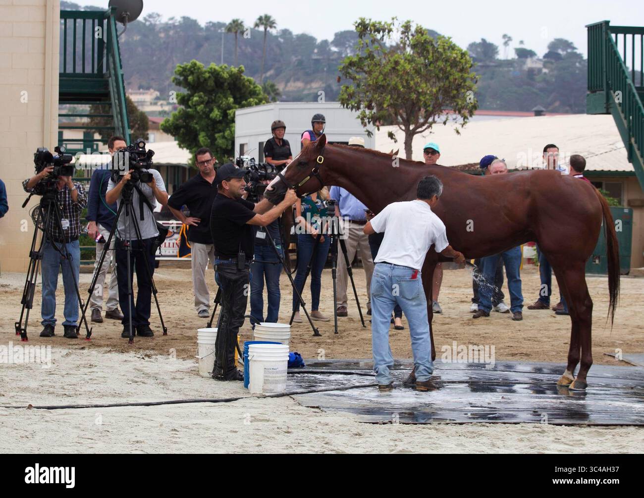 10. Juli 2018 - San Diego, CA, USA - SAN DIEGO, CA.-16. Juli 2018,- Jimmy Barnes, links, Assistenztrainer von Trainer Bob Baffert und ein stabiler handgewaschener Triple Crown-Gewinner ''Justify'', der diesen Sommer auf der Rennstrecke bleiben wird, während er sich von einer leichten Beinverletzung erholt. Eine große Medienmenge kam heraus, um das Pferd zu sehen. FOTO/Fotograf VON JOHN GIBBINS, San Diego Union-Tribune. â 2018 (Kreditbild: © John Gibbins/San Diego Union-Tribune Via ZUMA Wire) Stockfoto
