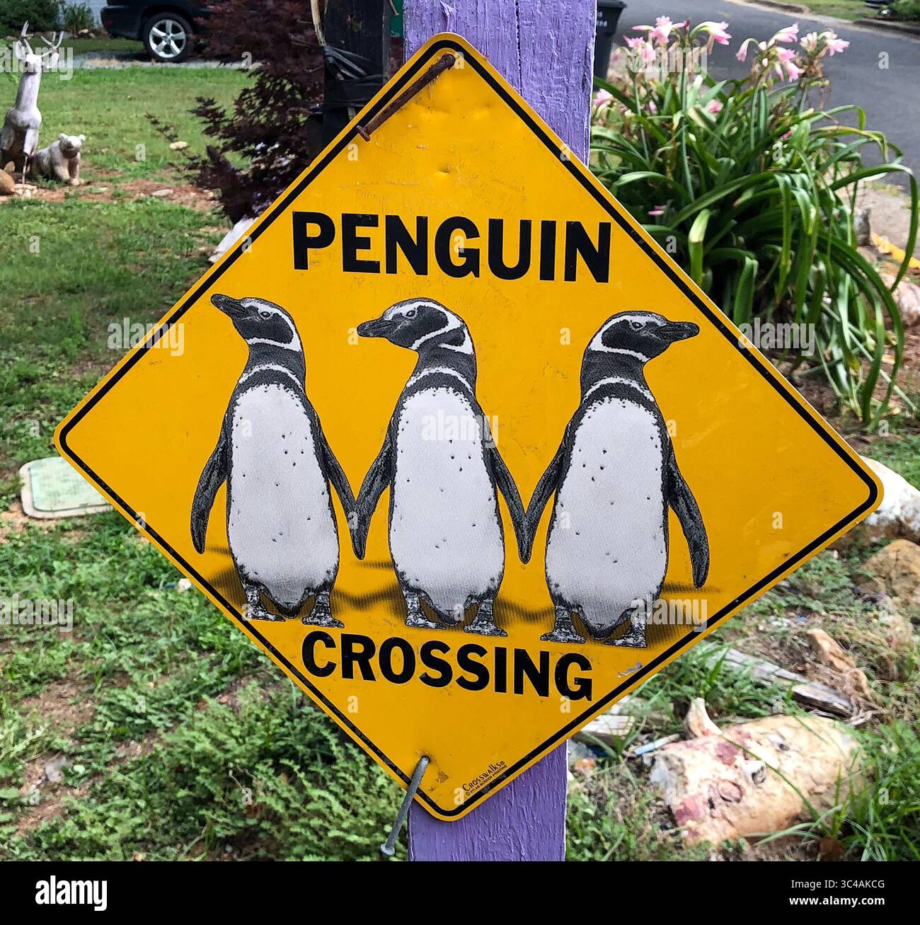 Das hellgelbe Schild „Penguin Crossing“ kennzeichnet das Wunderland von Clyde Jones in Bynum, südlich von Pittsboro. Stockfoto