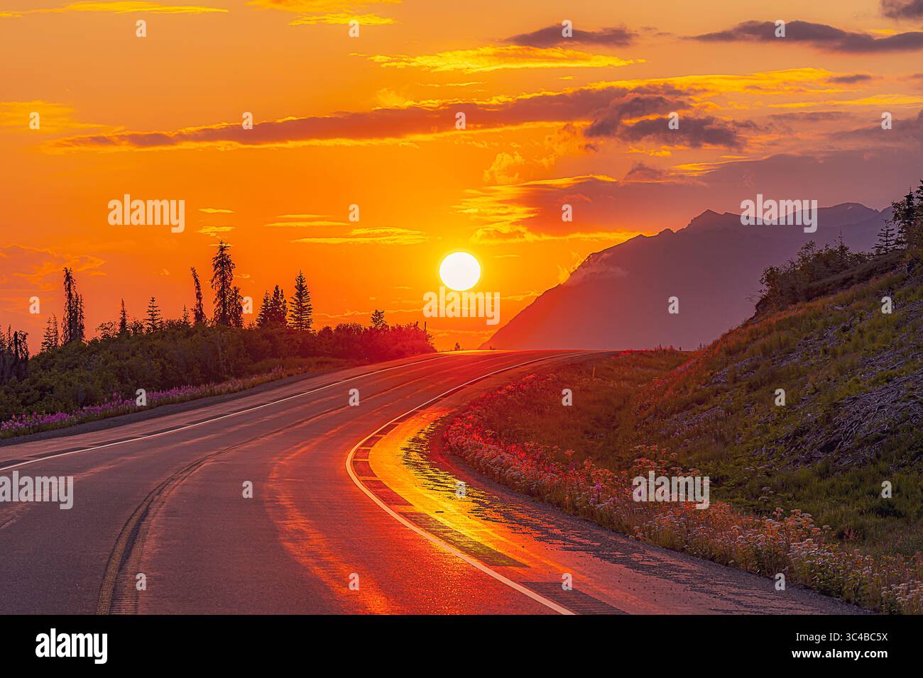 Ein lebhafter Sonnenuntergang beleuchtet eine Straße im Denali State Park, Alaska. Das goldene Licht reflektiert vom Asphalt und erzeugt ein atemberaubendes Bild wie die Straße wi Stockfoto