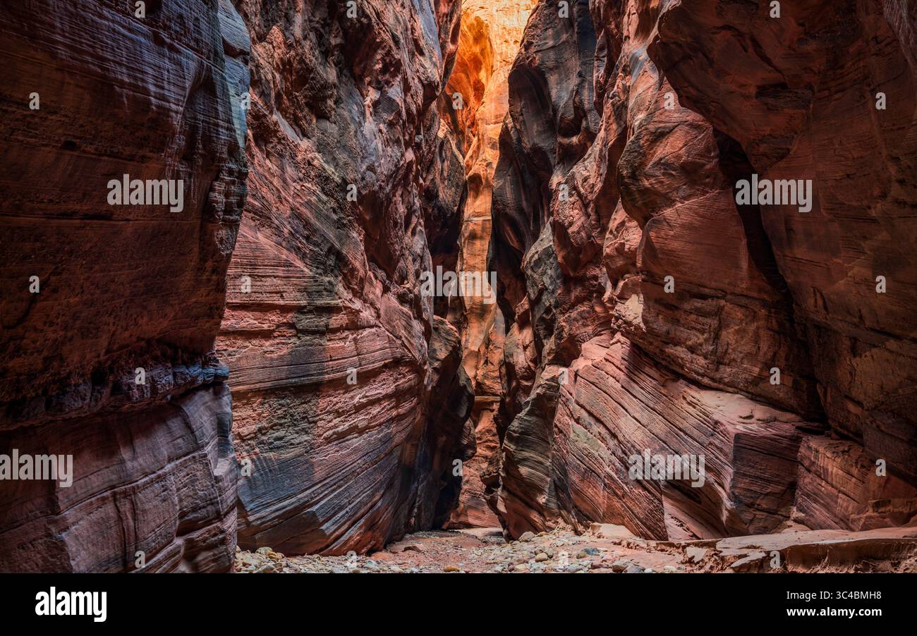Buckskin Gulch liegt im südlichen Kane County, Utah, nahe der Grenze zu Arizona in der Paria Canyon-Vermilion Cliffs Wilderness. Stockfoto