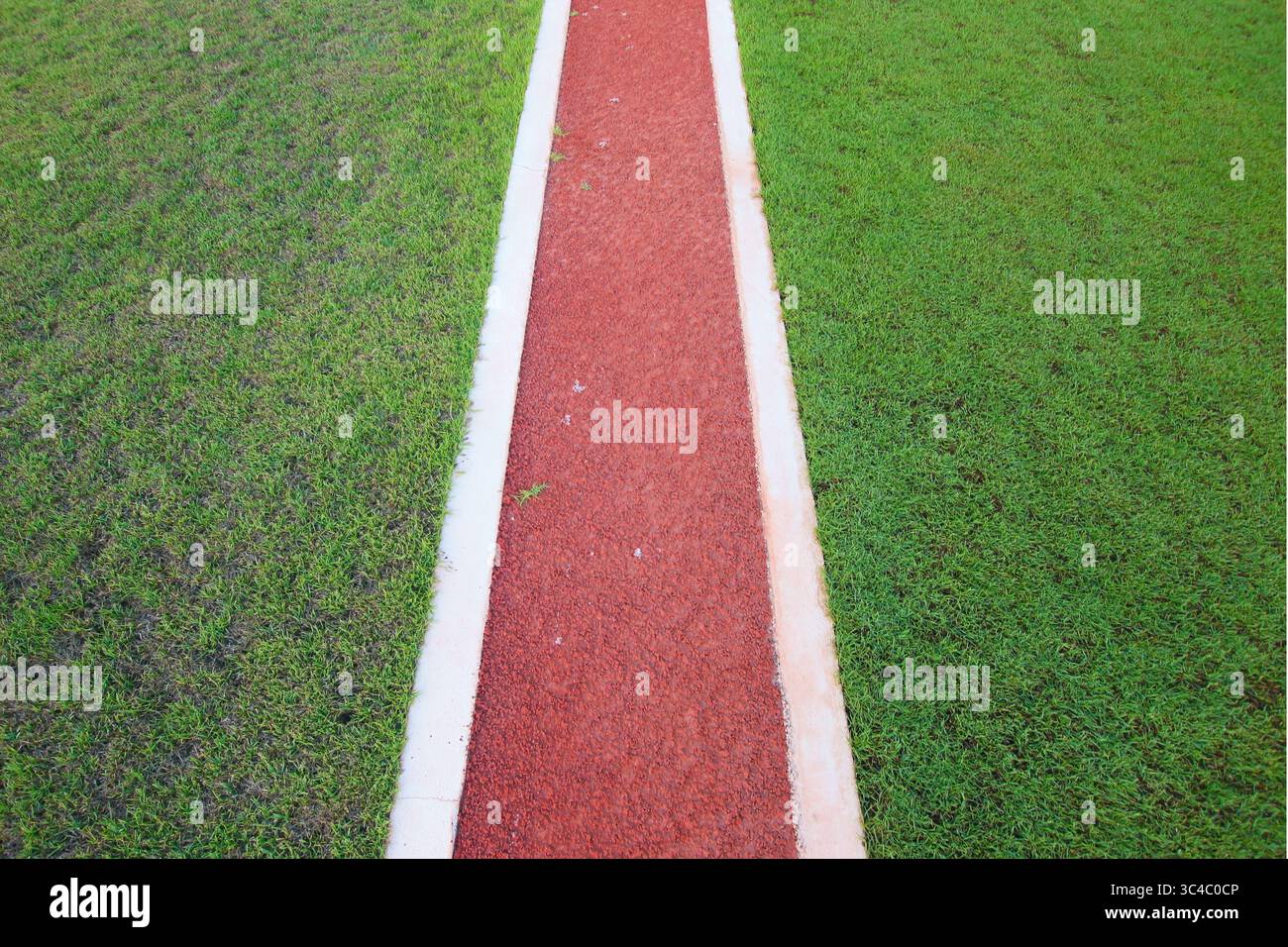 Roter Pfad, der durch grünes Gras verläuft, in minimaler und symmetrischer Zusammensetzung erfasst. Perfekt für naturinspirierte abstrakte Hintergründe. Stockfoto
