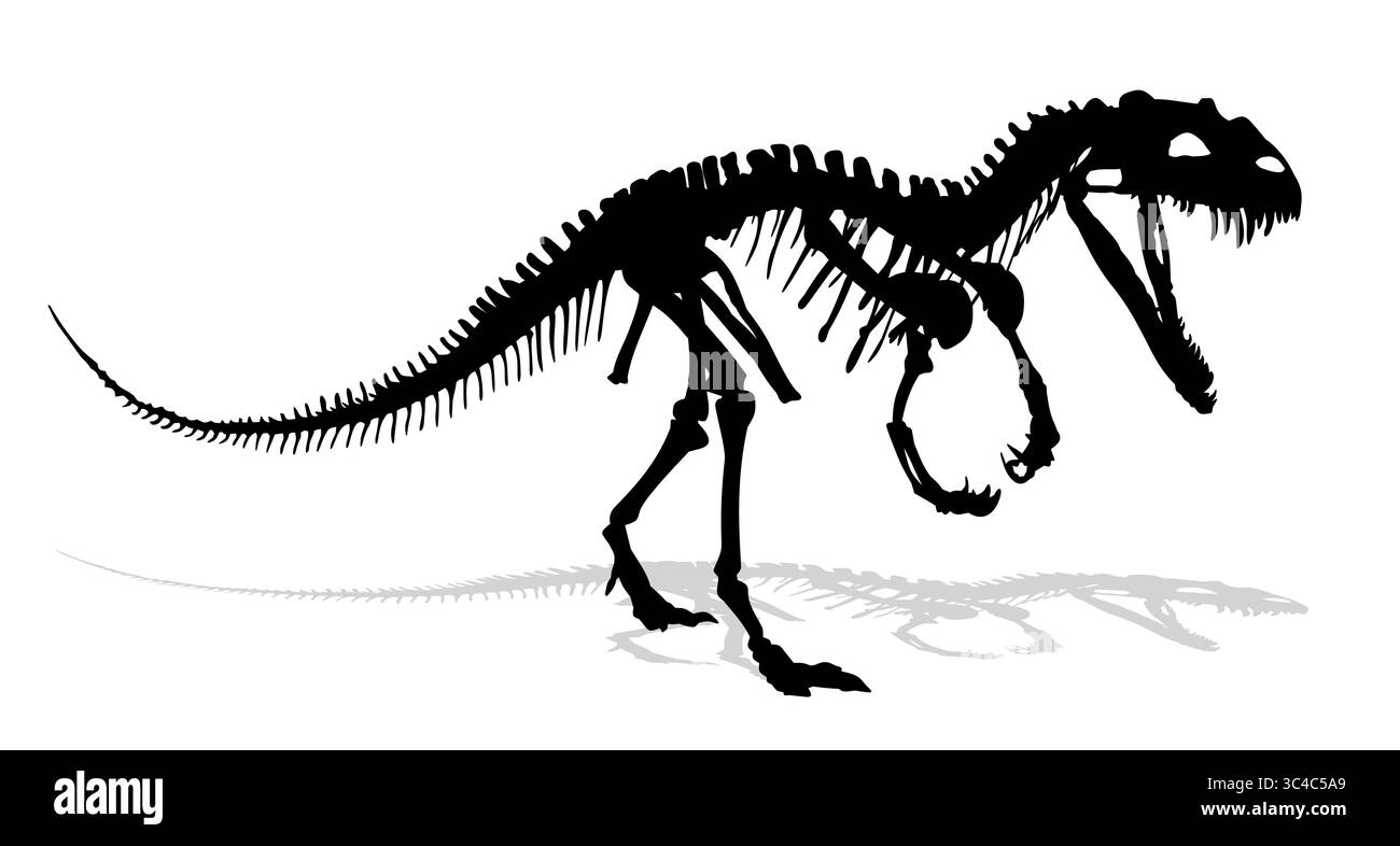 Skelett eines alten großen Dinosauriers. Stock Vektor