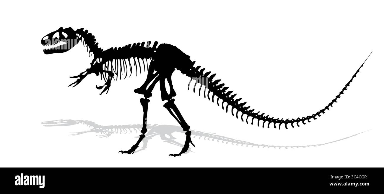Skelett eines alten großen Dinosauriers. Stock Vektor