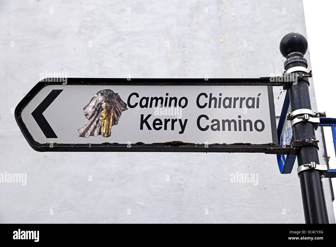 Schild für den Kerry Camino, Camino Chiarrai, in Tralee, County Kerry, Irland Stockfoto