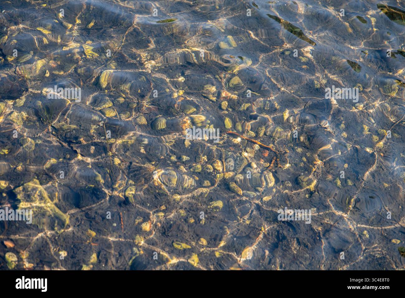 Felsiger Boden eines Baches mit kristallklarem Wasser, runden Steinen. Stockfoto
