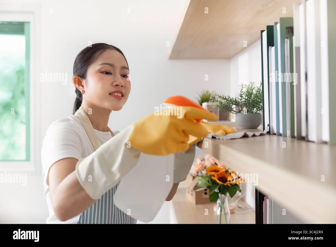 Reinigung Zu Hause. Frau staubt Regale in hellen Wohnräumen mit Sorgfalt ab. Stockfoto