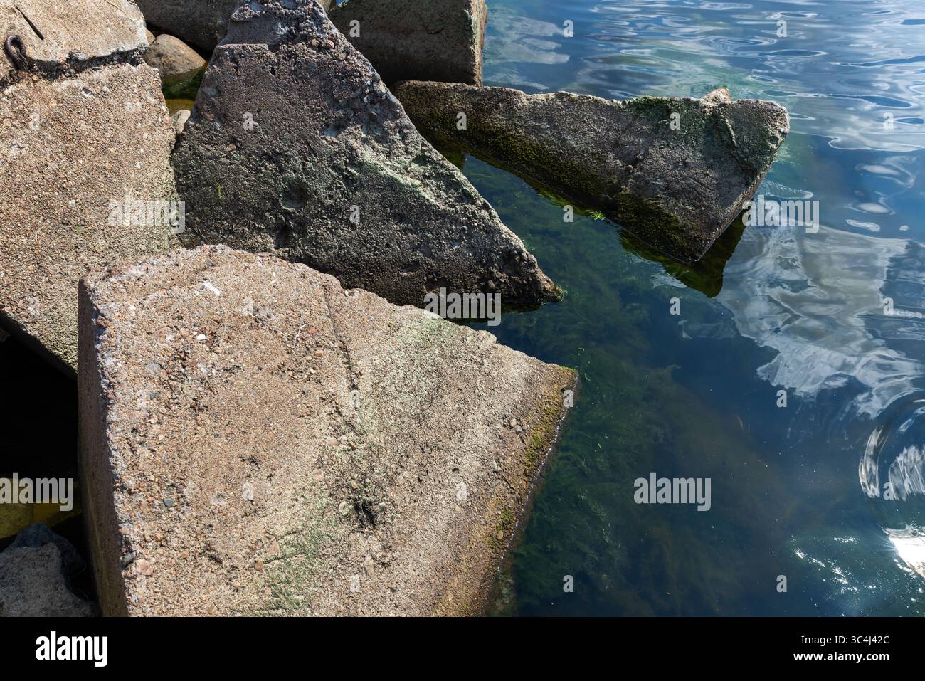 Dreieckige Betonblöcke entlang einer Küste mit algenbedeckten Steinen, die unter Sonnenlicht in klarem Wasser getaucht sind, zeigen Elemente der Natur und Stockfoto