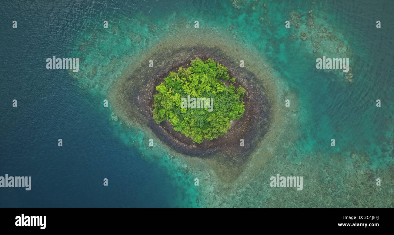 Fidschi-Inseln: Atemberaubender Blick aus der Luft auf eine üppige tropische Insel, umgeben von lebendigen Korallenriffen in Fidschis kristallklarem türkisfarbenem Wasser. Wilde Naturreiselandschaft. Drohnenflug Stockfoto