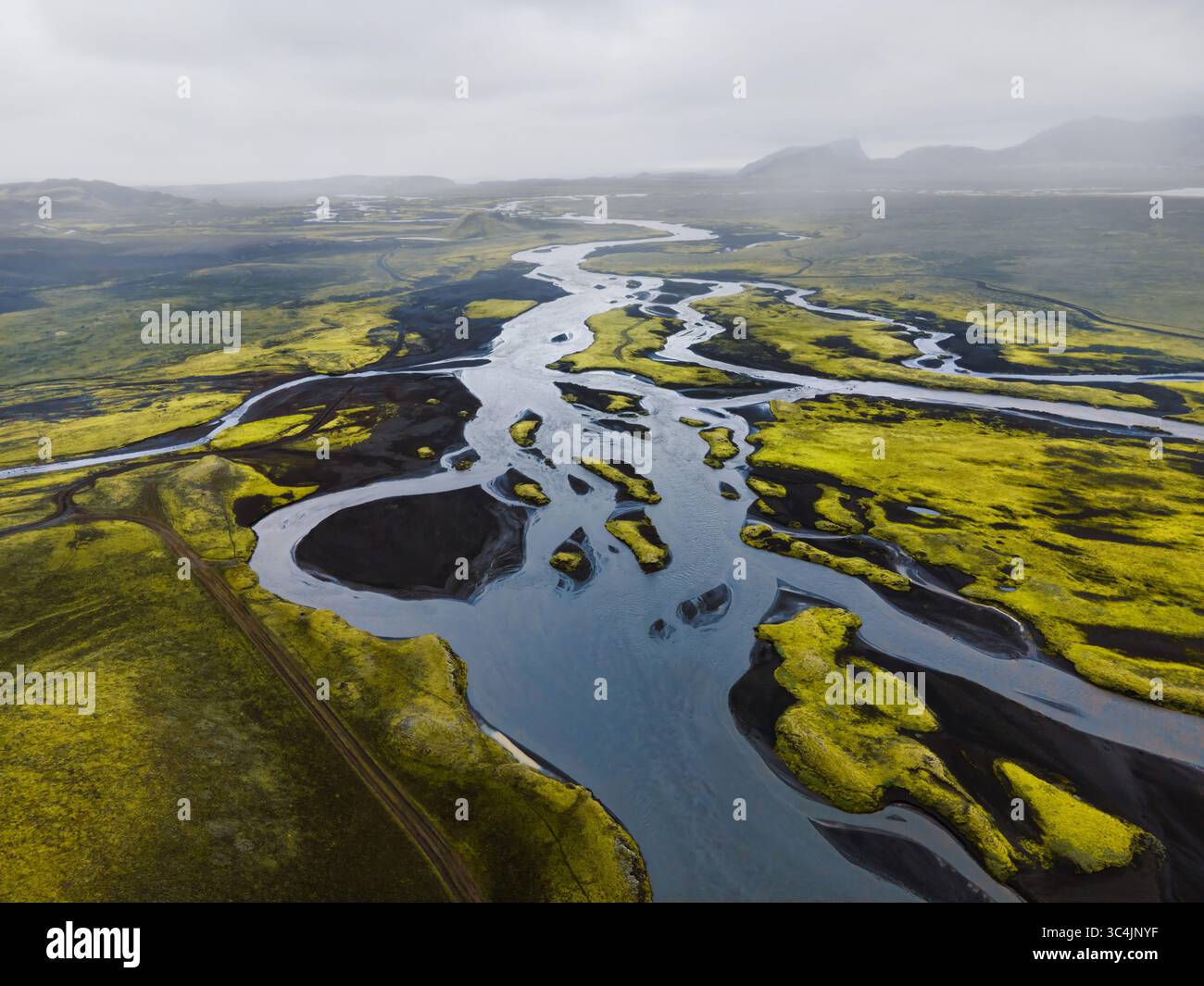 Aus der Vogelperspektive eines geflochtenen Flusses schlängelt sich durch eine raue Landschaft, dessen silbriges Wasser im Kontrast zum lebendigen grünen Moos und dem dunklen vulkanischen Sand steht. Island. Stockfoto
