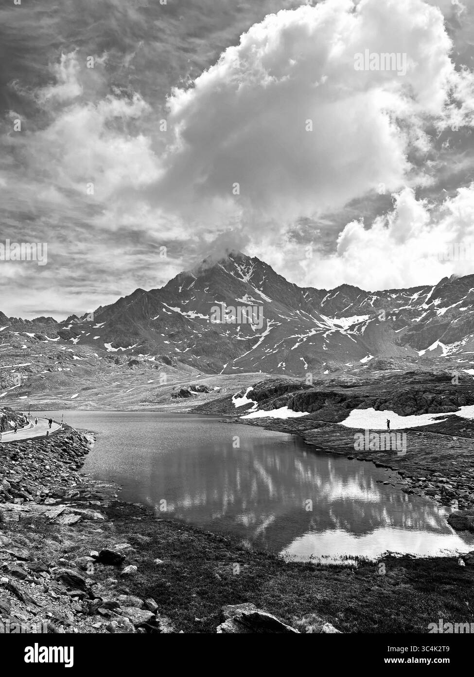 Rennrad Tour in den italienischen und Schweizer Alpen, Gavia Pass, Passo di Gavia, Lago Bianco, Italien *** Road Bike Tour in den italienischen und Schweizer Alpen, Gavia Pass, Passo di Gavia, Lago Bianco, Italien Stockfoto