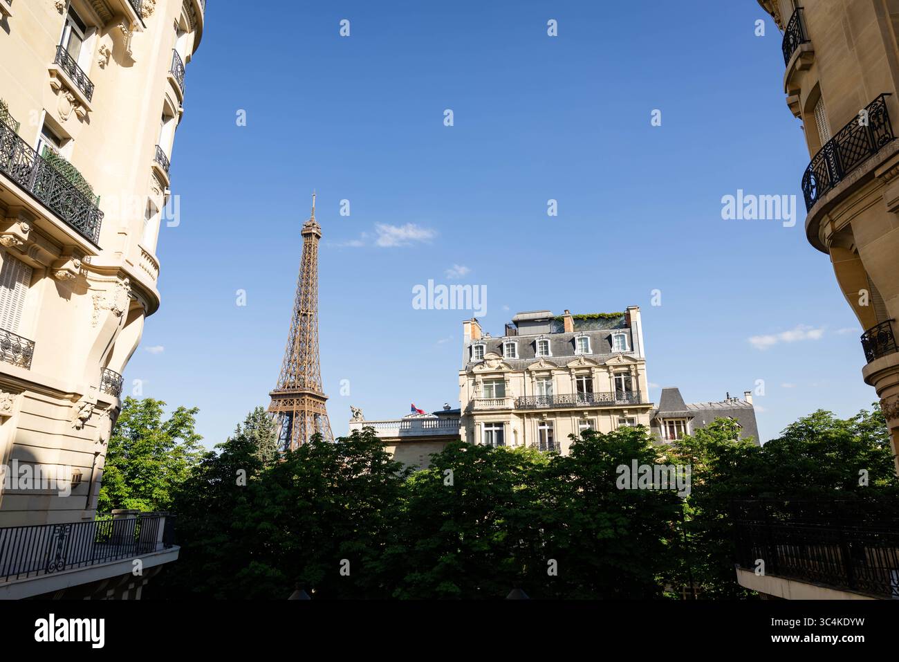 Ein Pariser Stadtbild mit dem Eiffelturm, der teilweise von üppigen grünen Bäumen verdeckt ist, eingerahmt von eleganten Haussmannischen Gebäuden mit verzierten Balkonen Stockfoto