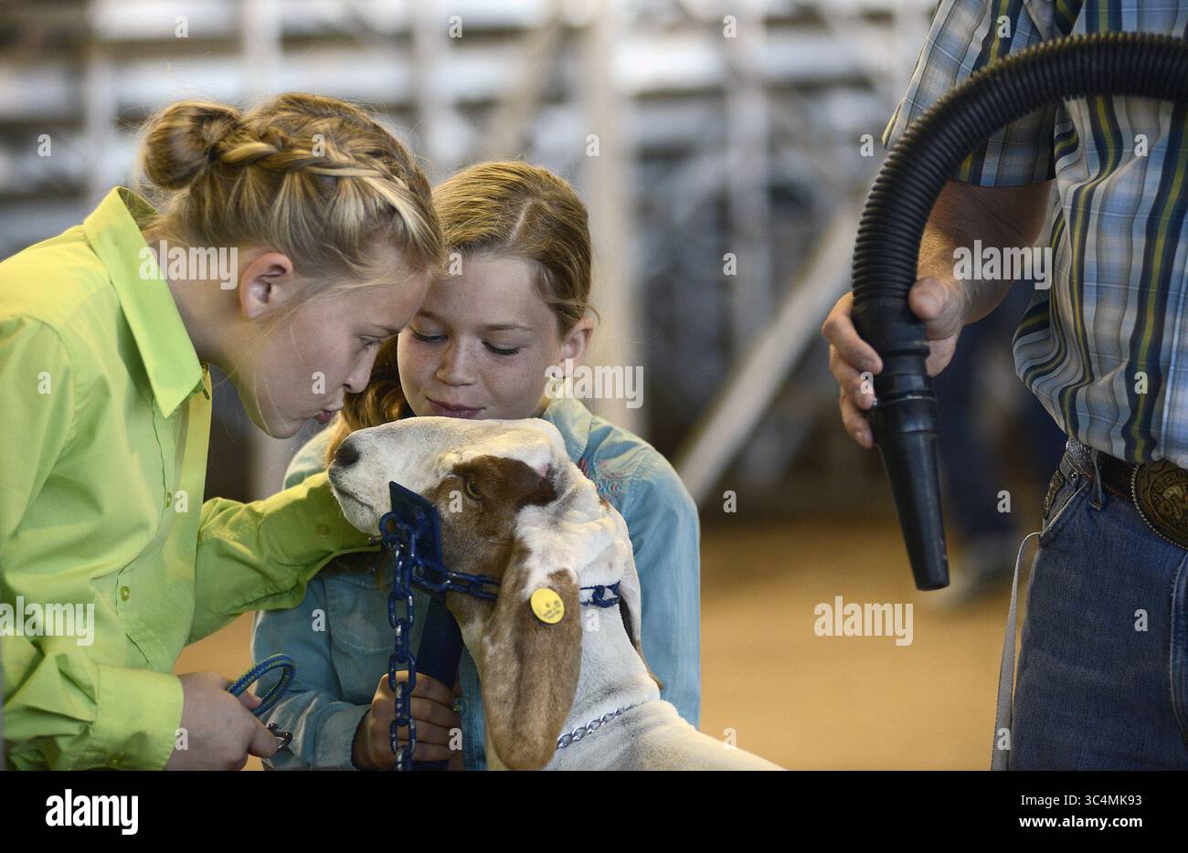 9. September 2018 - Albuquerque, NEW MEXICO, USA - 090918 .Aubry Putnam, 12, links , und ihre Schwester Payton Putnam, 9, von Carlsbad ruhig ''Clay Walker'' eine 9 Monate alte Ziege, während Wayne Shockley, ein Eddy County 4-H Extension Agent, es für den Fleischziegenwettbewerb auf der New Mexico State Fair vorbereitet. Fotografiert am Sonntag, 9. September 2018/Adolphe Pierre-Journal: Stockfoto