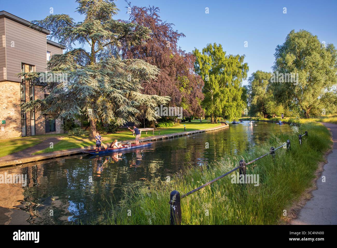 Studenten, die sich in Cambridge entspannen Stockfoto