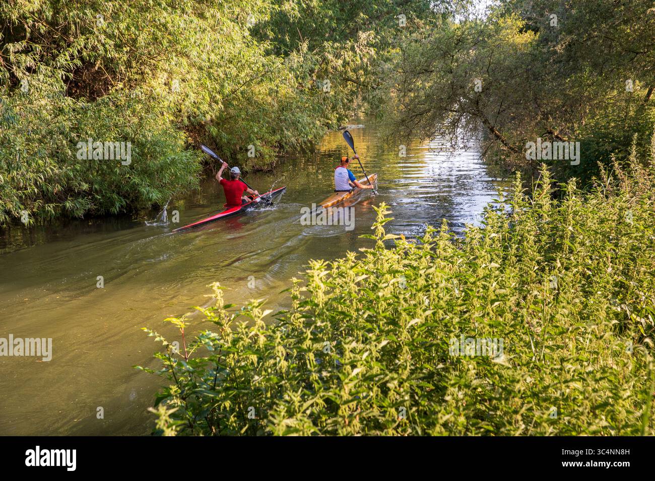 Studenten, die sich in Cambridge entspannen Stockfoto