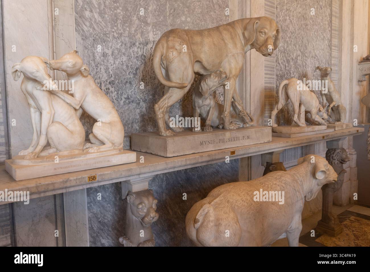 Vatikanmuseum Rom - Halle der Tiere - die Ausstellung in den beiden Räumen, die zusammen den Saal der Tiere bilden, wurde unter Papst Pius VI. Errichtet Stockfoto