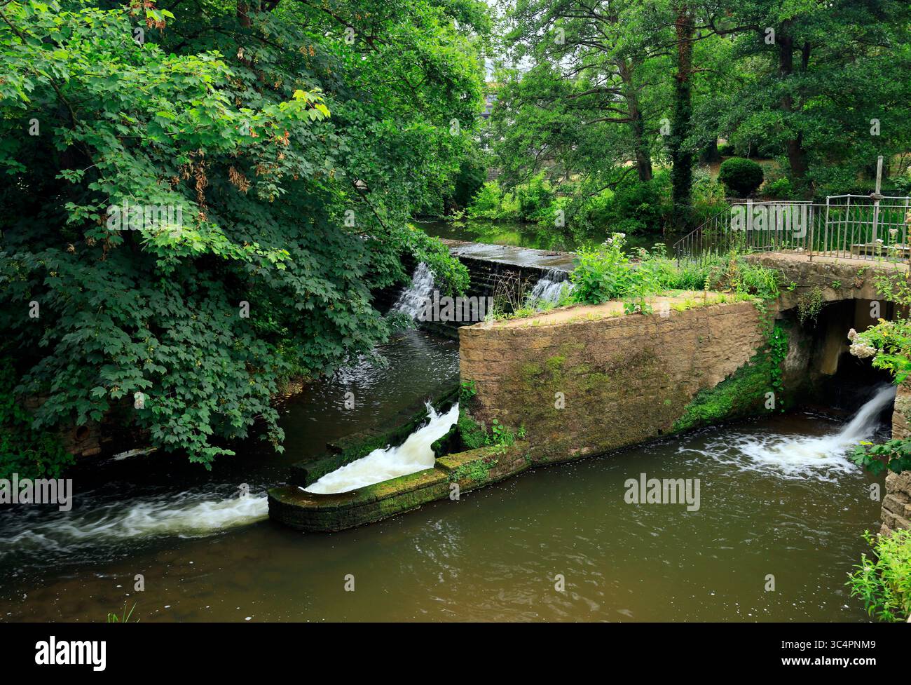 Weir on River Chew, Memorial Park, Keynsham, Somerset. Stockfoto
