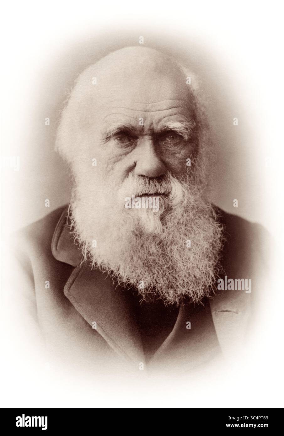 Charles Robert Darwin (1809–1882), Urheber der Evolutionstheorie durch natürliche Selektion, in einem Porträt von Elliott & Fry vom 29. November 1881. Stockfoto