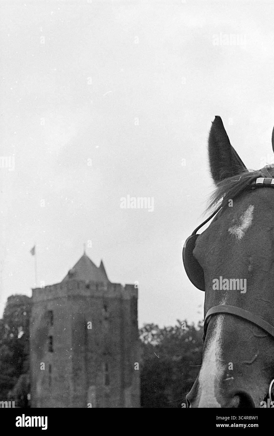 Reitwettbewerb, Wettbewerb, 27-07-1968 Whizgle News, Dutch Desk, Niederlande, 1950-2000 Eine Nahaufnahme eines Pferdes mit einem Burgturm im Hintergrund, umrahmt von einem bedeckten Himmel. Das ausdrucksstarke Auge des Pferdes und die historische Architektur bilden einen faszinierenden Kontrast von Natur und Geschichte. Stockfoto