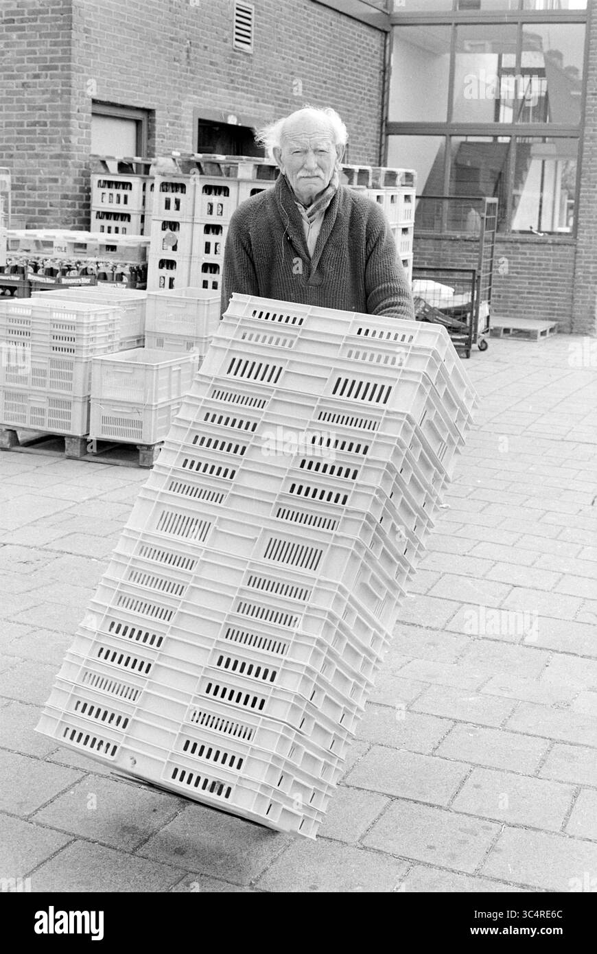 Opa Mus, 89 Jahre alt, arbeitet bei Albert Heijn, Leute, Aktivitäten, Geschäfte und Kioske, 06-05-1981 Whizgle News, Dutch Desk, Niederlande, 1950-2000 ein älterer Mann balanciert sorgfältig einen riesigen Stapel leerer Kisten aus, während er einen geschäftigen Markt im Freien durchquert, der von zusätzlichen Kisten und einem modernen Gebäude im Hintergrund umgeben ist. Stockfoto