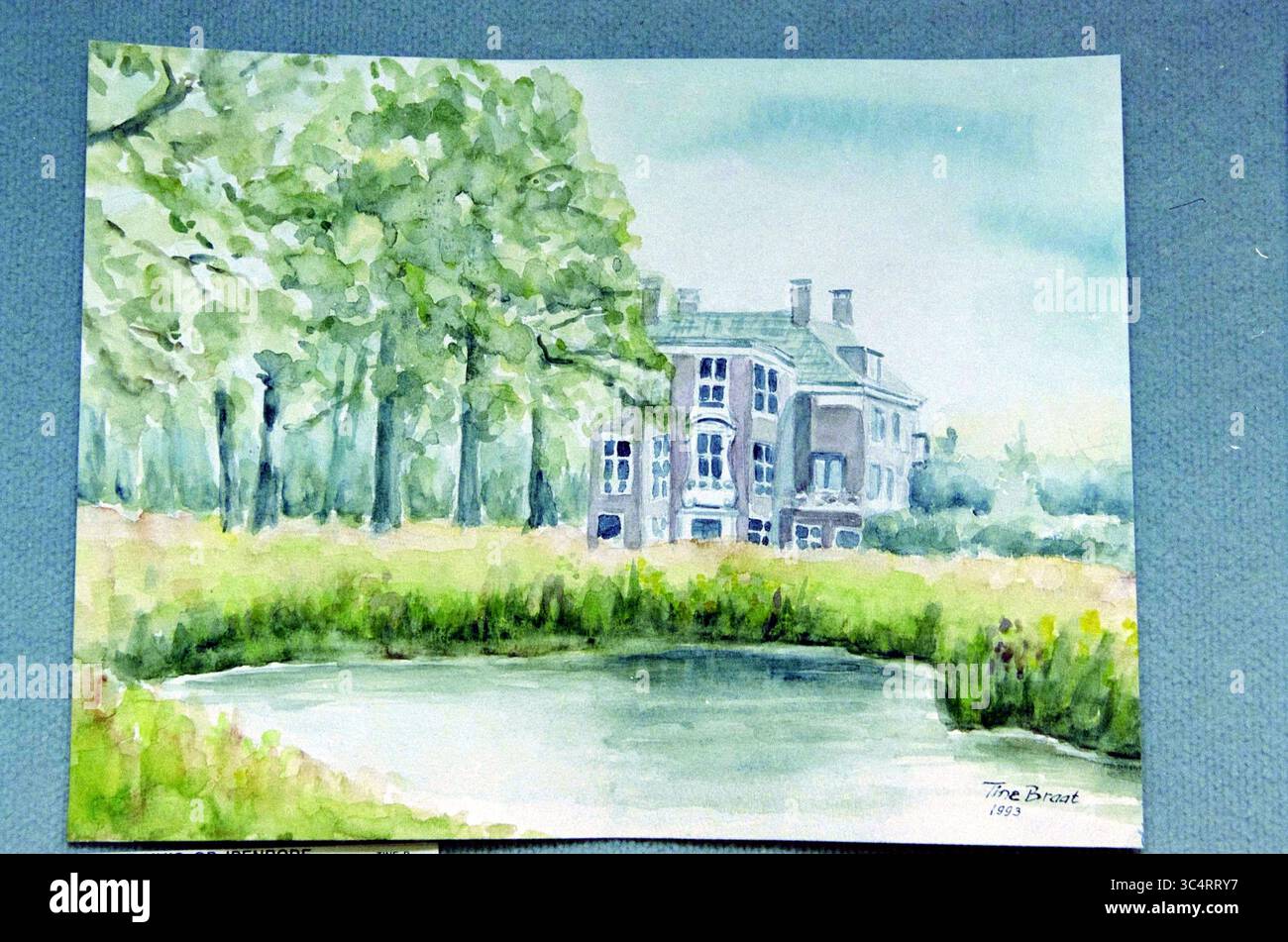 Malerei Iepenhove Heemstede, Heemstede, Niederlande, 29-11-2001 Whizgle News, Dutch Desk, Niederlande, 1950-2000 Eine ruhige Landschaft mit einem charmanten Gebäude, das teilweise von üppig grünen Bäumen bedeckt ist, neben einem ruhigen Teich. Die sanften, fließenden Bewegungen erfassen die Ruhe der Szene, die durch sanfte Grüntöne verstärkt wird. Stockfoto