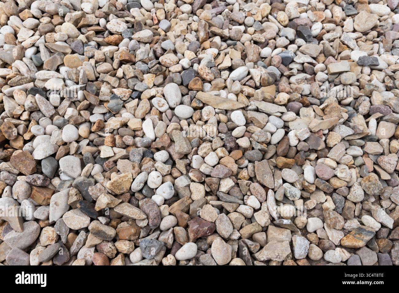 Eine Anordnung von unterschiedlich geformten und großen, glatten Flussfelsen in natürlichen Tönen, die eine strukturierte Oberfläche schaffen Stockfoto