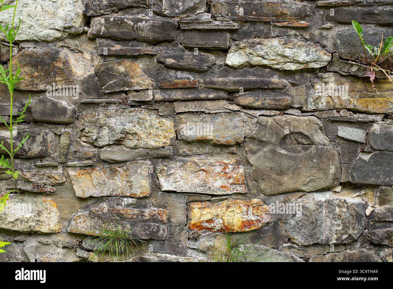 Alte verwitterte Steinmauer mit Pflanzen und Moos Stockfoto