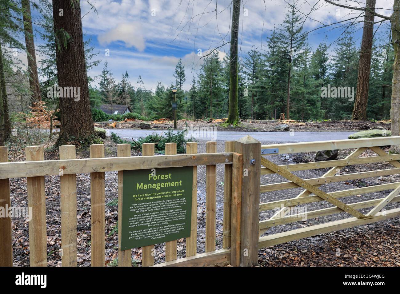 Waldbewirtschaftung in Center Parcs, Longleat Forest Holiday Village, Warminster, Wiltshire, England, Großbritannien, Stockfoto
