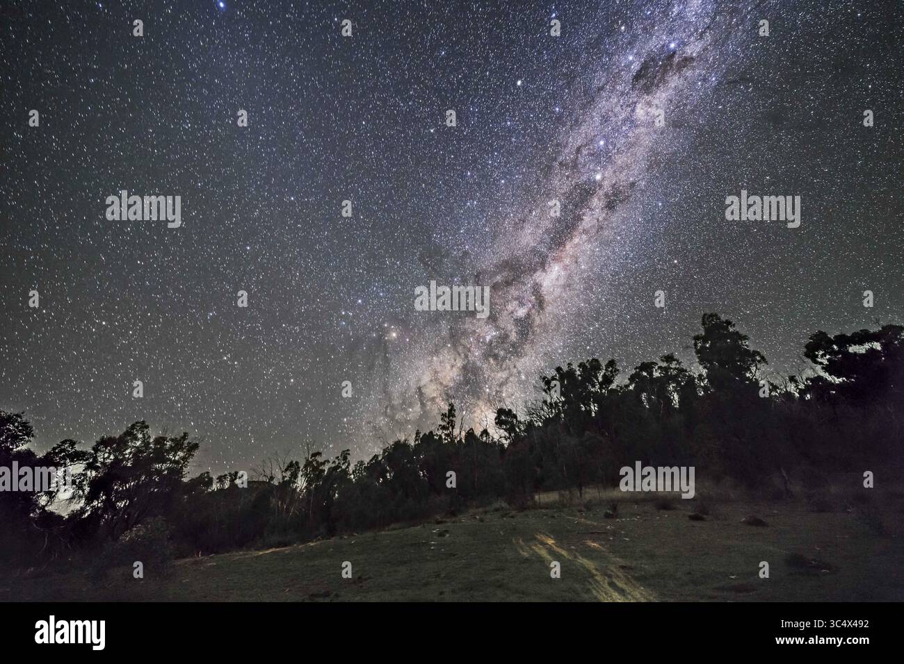 19. April 2017 – Australien – die südliche Milchstraße und das galaktische Zentrum in einer Aprilnacht in Australien, wo die dunkle Emu aufsteigt und nun die Bäume mit hsi-Kopf, Hals und Körper sichtbar befreit. Scorpius ist auferstanden. Das schwache Leuchten links ist das Zodiakal Band... während es aussieht, als würde die Milchstraße Licht über den Boden werfen, ist der helle Boden von Lichtern aus einem nahegelegenen Haus für ein paar Sekunden kurz eingeschaltet. ..Dies ist ein Stapel von 8 45 Aufnahmen für den Boden, Mittel kombiniert mit gleichmäßigem Rauschen, und einer 45-Sekunden-Belichtung für den Himmel, alle mit dem Rokinon 14-m-Objektiv bei f/2,5 Stockfoto