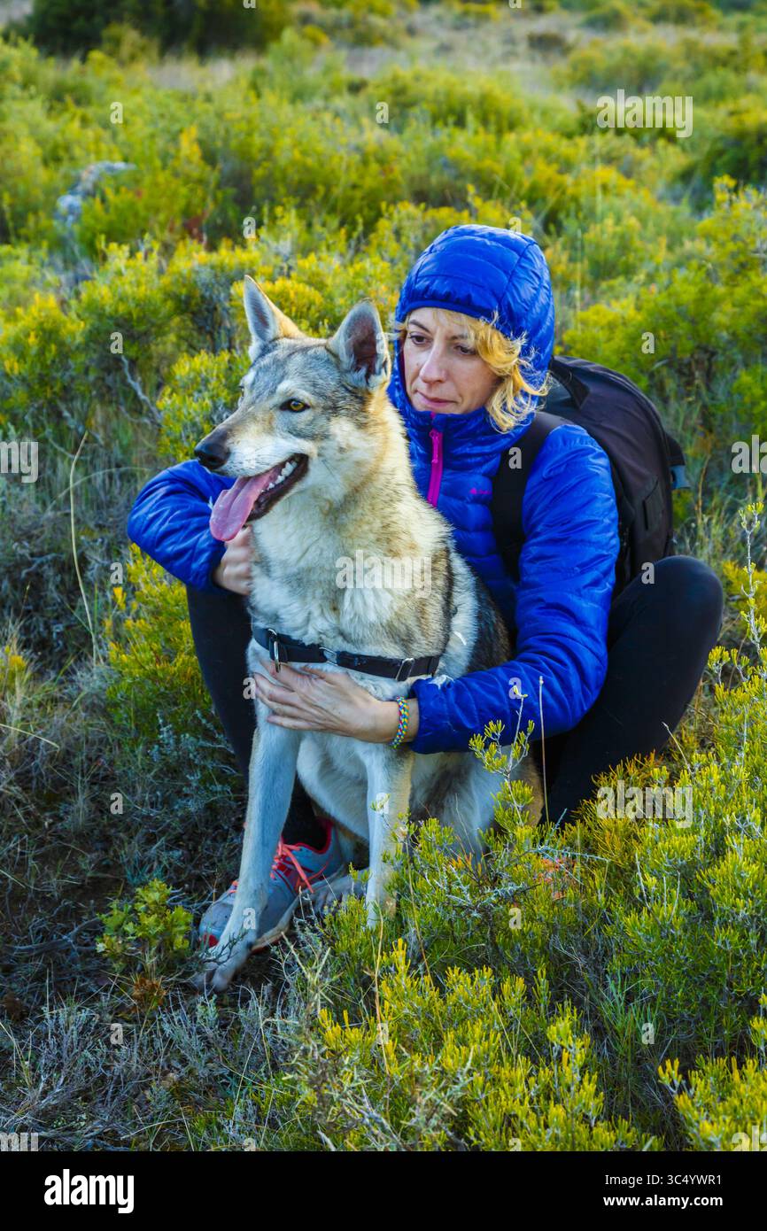 28. November 2016 – Spanien – Frau im Freien mit einem tschechoslowakischen Wolfhund. Tierra Estella County, Navarra, Spanien, Europa. (Kreditbild: © Mikel Bilbao/Vwpics/VW Pics via ZUMA Wire) Stockfoto