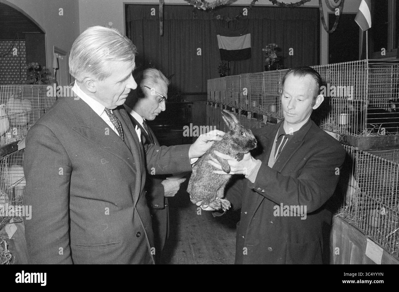 Burg. Haarlemmermeer, Geflügelausstellung, Ausstellungen, 04.12-1969 Whizgle News, Dutch Desk, Niederlande, 1950-2000 drei Männer sind an einer Diskussion auf einer Kaninchenausstellung beteiligt, wobei ein Mann ein großes Kaninchen hält und es den anderen vorstellt. Die Einstellung enthält Käfige, die im Hintergrund angeordnet sind und verschiedene Kaninchen anzeigen. Stockfoto