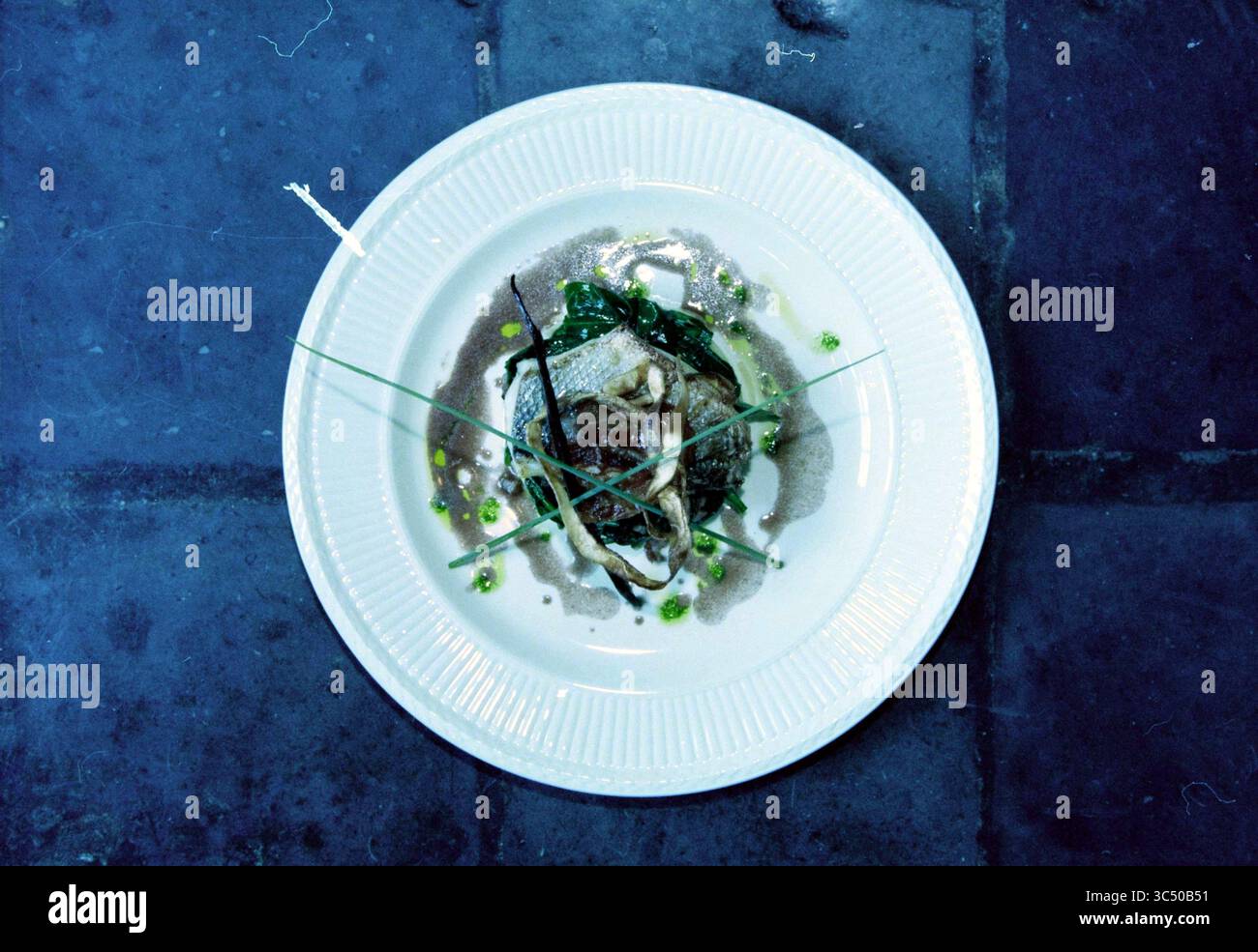 Dekoriert: The Red Deer, 21.04.1999 Whizgle News, Dutch Desk, Niederlande, 1950-2000 Ein wunderschön überzogenes Gericht mit zartem Fleisch, garniert mit lebendigem Grün und zarten Kräutern, umgeben von einer aromatischen Sauce, alles kunstvoll auf einem einfachen weißen Teller angeordnet. Stockfoto