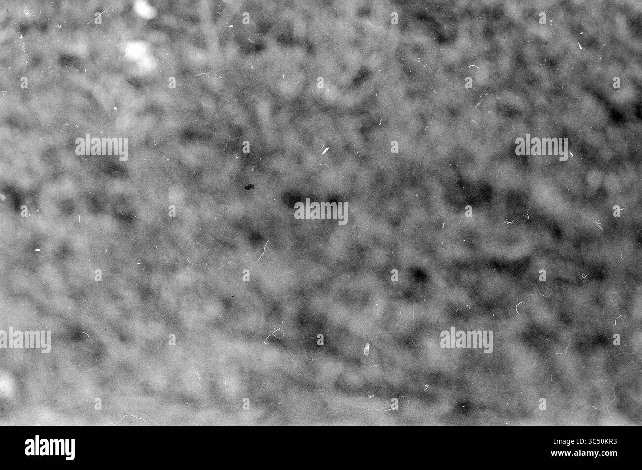 {Failed Photo] Whizgle News, Dutch Desk, Niederlande, 1950-2000 eine abstrakte Textur mit einer Mischung aus undeutlichen Mustern und subtilen Variationen, die ein Gefühl von Tiefe und Weichheit schafft. Stockfoto