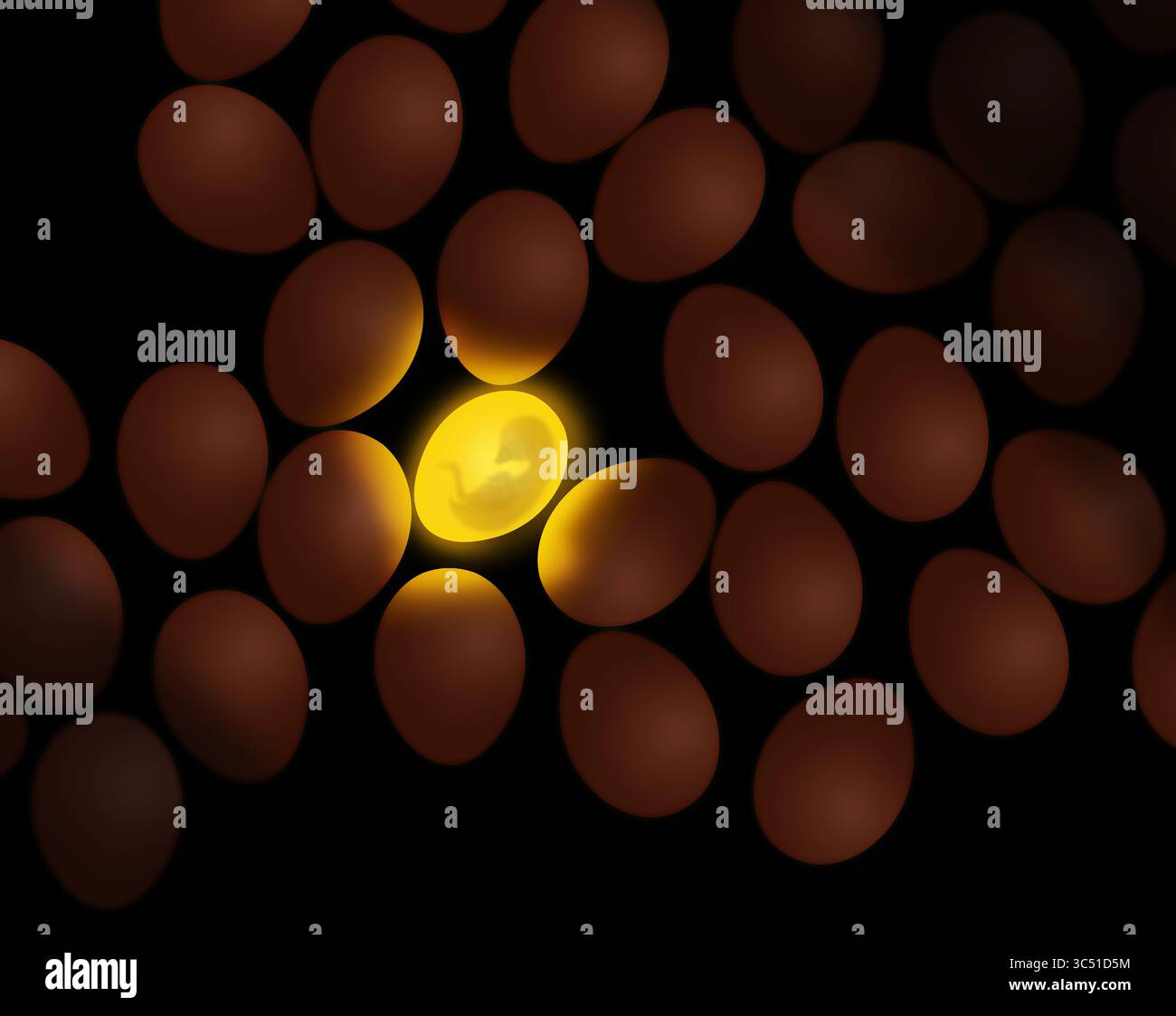 Ein Hühnerembryo ist in einem Ei zu sehen und ist neben vielen anderen Eiern in dieser 3D-Iliustration, die den Prozess der Kerzenbildung von Eiern mit einer Birke simuliert Stockfoto