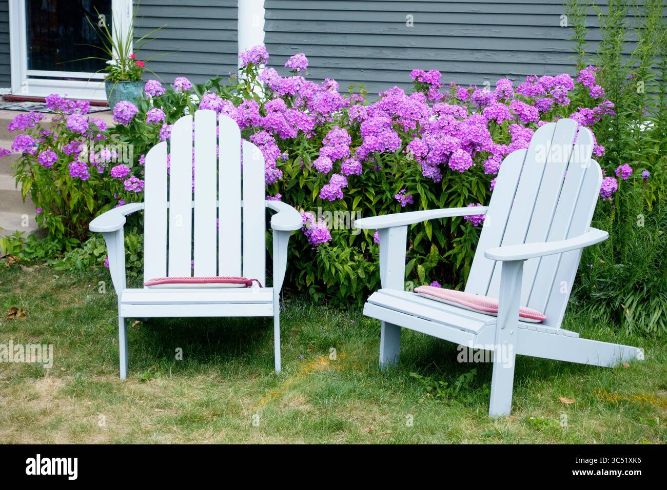 Ein Paar klassischer Adirondack-Stühle aus den Adirondack Mountains im Norden NY vor violetten Phloxblumen. St. Paul Minnesota MN USA Stockfoto
