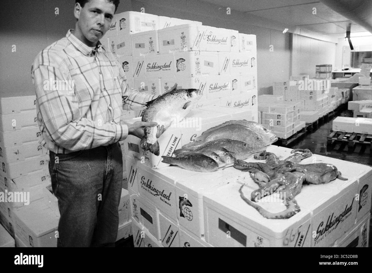 Herr Gravemaker mit Fisch, Hoeve Vis, IJmuiden, IJmuiden, Niederlande, 13-04-1997 Whizgle News, Dutch Desk, Niederlande, 1950-2000 Ein Mann steht zuversichtlich neben einem Stapel weißer Kästen voller verschiedener Arten von Meeresfrüchten, in der einen Hand einen großen Fisch und eine Auswahl anderer Meeresbewohner auf einer nahegelegenen Oberfläche, die die geschäftige Aktivität eines Fischmarktes hervorheben. Stockfoto