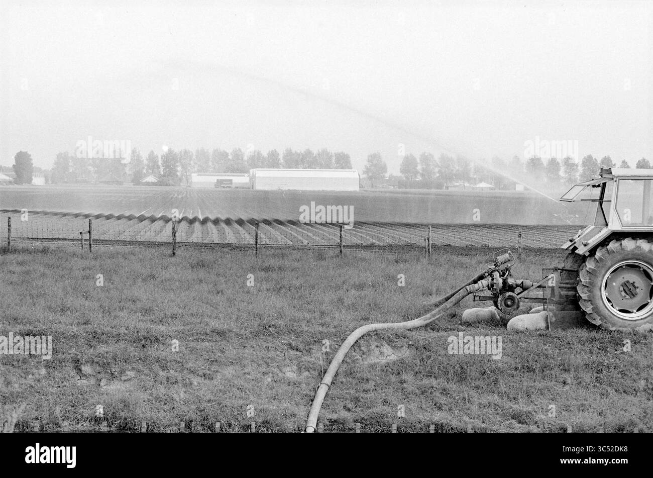 Hoofddorp Farmers sprüht Wasser auf das Land., Agriculture, Hoofddorp, Niederlande, 2-06-1983 Whizgle News, Dutch Desk, Niederlande, 1950-2000 Ein Traktor mit Bewässerungsausrüstung bewässert ein riesiges grünes Feld, während Bäume und eine Struktur im Hintergrund stehen, umhüllt von einer nebeligen Atmosphäre. Stockfoto