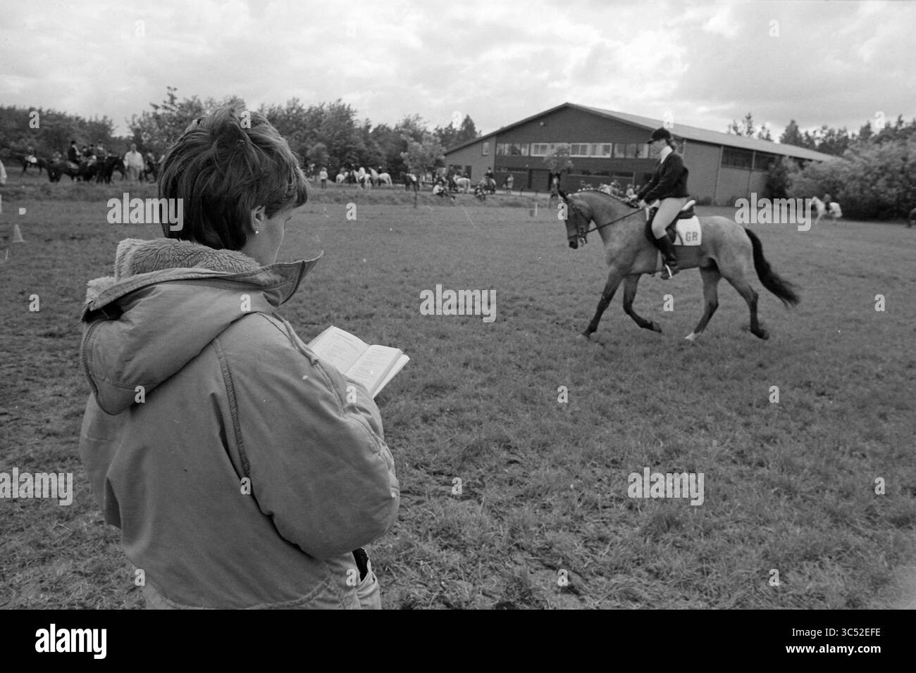 Reitwettbewerb Whizgle News, Dutch Desk, Niederlande, 1950-2000 Eine Person liest aufmerksam, während ein Reiter ihr Pferd geschickt im Hintergrund navigiert, umgeben von Zuschauern und üppigem Grün. Stockfoto