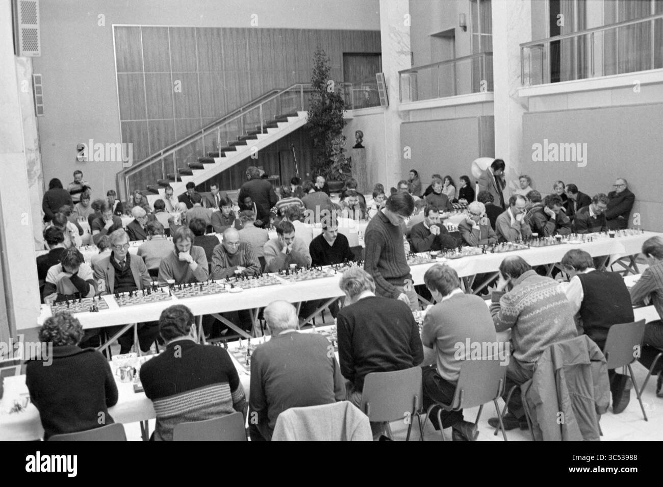 Chess Simultan Town Hall Velsen, Hochofen-Schachturnier, 28-01-1985 Whizgle News, Dutch Desk, Niederlande, 1950-2000 Eine große Versammlung von Schachspielern sitzt an langen Tischen, die sich intensiv auf ihre Spiele konzentrieren. Im Hintergrund beobachten Zuschauer und andere, die sich unterhalten, und schaffen eine lebendige Atmosphäre in einem geräumigen Saal, der mit einem festlichen Baum und architektonischen Details geschmückt ist. Stockfoto