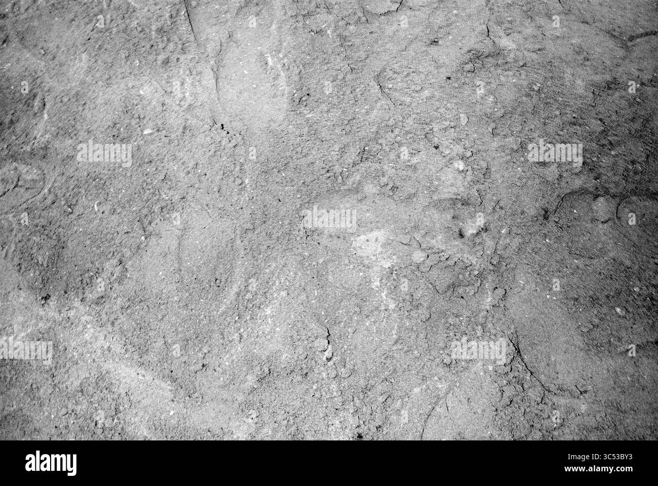 Kein Bild Whizgle News, Dutch Desk, Niederlande, 1950-2000 Eine Nahaufnahme einer strukturierten Oberfläche, die mit feinem Staub und kleinen Fußabdrücken bedeckt ist, was auf jüngste Aktivitäten hindeutet. Stockfoto