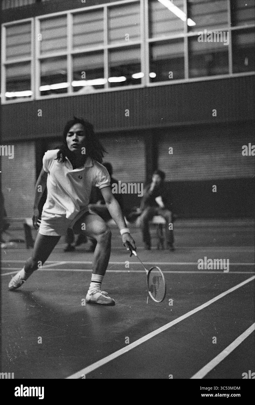 Badminton Match Whizgle News, Dutch Desk, Niederlande, 1950-2000 Ein Spieler springt auf einem Badminton-Platz nach vorne und ist bereit, mit seinem Schläger zu schlagen. Er zeigt Agilität und Konzentration, während die Zuschauer von der Seitenlinie aus beobachten. Stockfoto